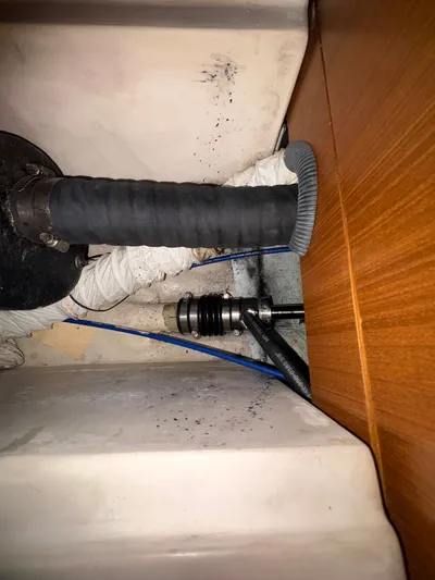 Amadeus Yacht Photos Pics 