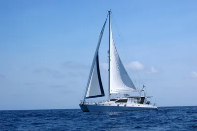 Royal Cape Catamarans 50