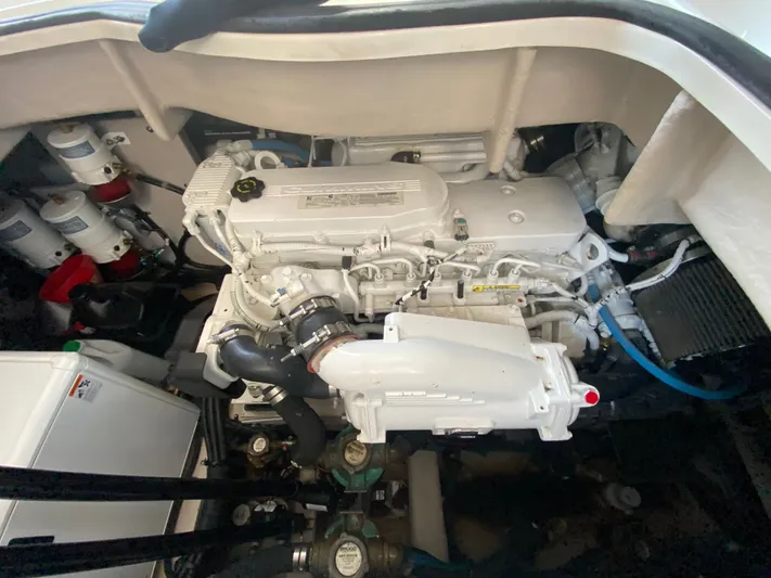 Why The Hail Not Yacht Photos Pics 