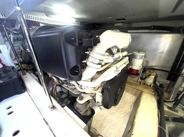 Rudee's Ruckus Yacht Photos Pics 