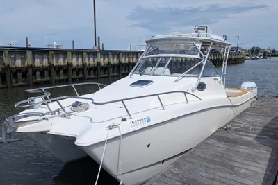 World Cat 270 EC