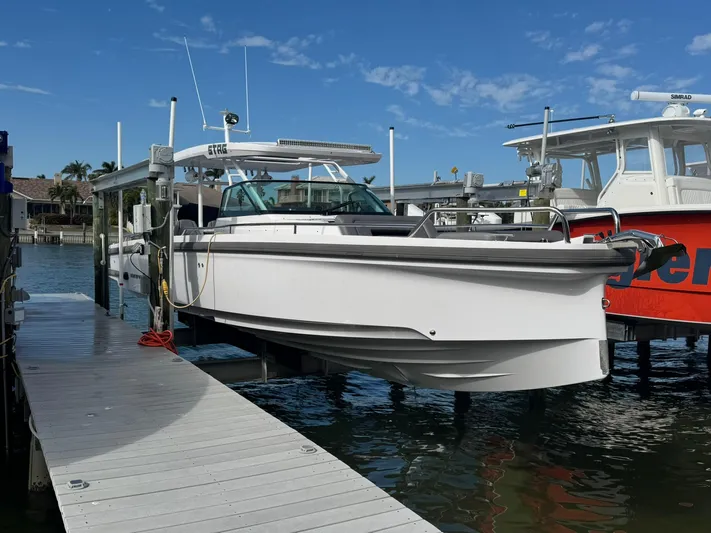 Stag Yacht Photos Pics 