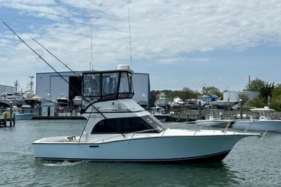 Albemarle 325 Convertible