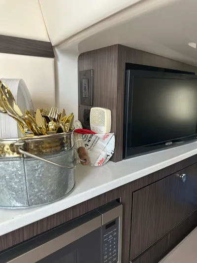Perfection Yacht Photos Pics Interior of 2020 Edgewater 370 CC with TV, microwave, and utensils.