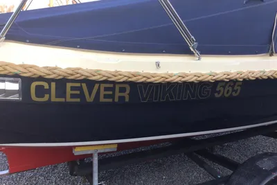 2005 Clever Viking