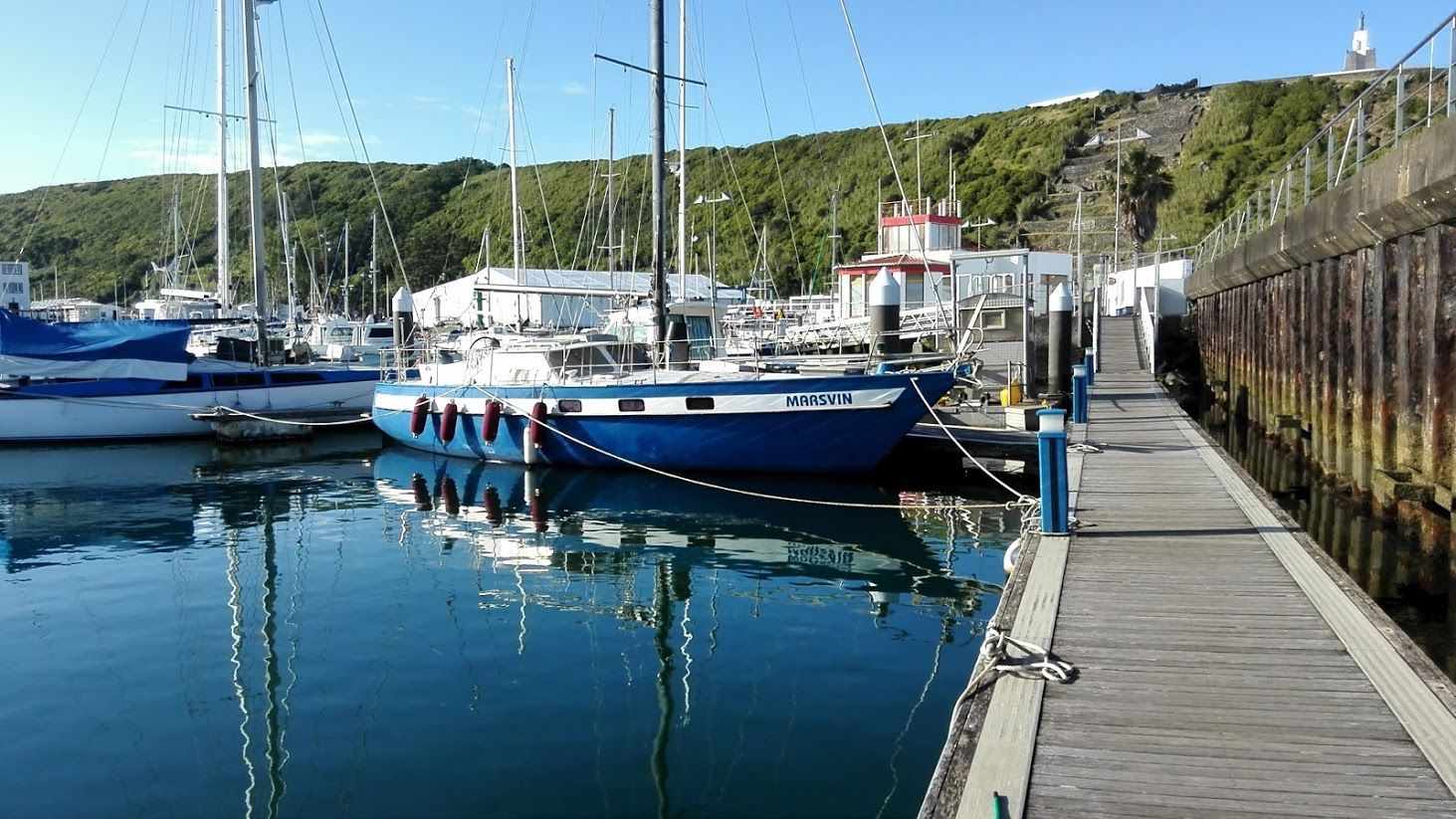 1986 Feltz Scorpion 2