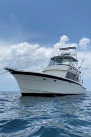 Hatteras Sportfish