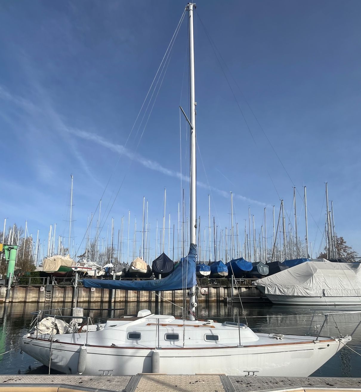 1973 Custom Alpa 825