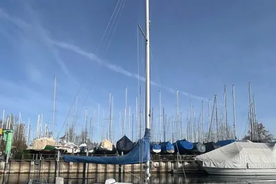 1973 Custom Alpa 825