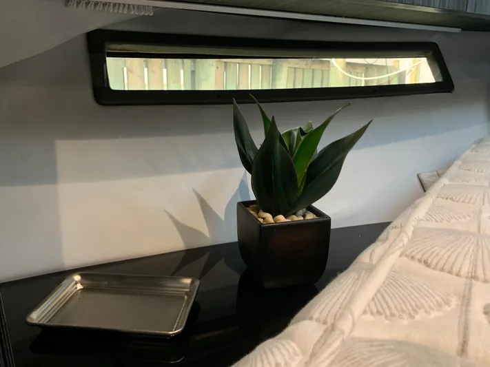  Yacht Photos Pics Interior of Silverton 4100 SC with plant and window.