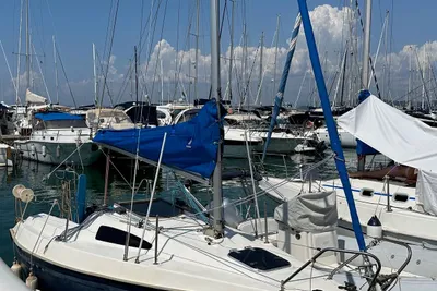 2012 Viko Viko 20
