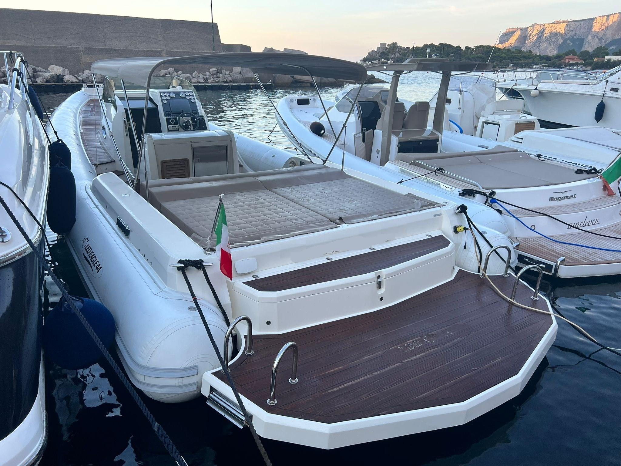 2010 Custom Led Eagle 44