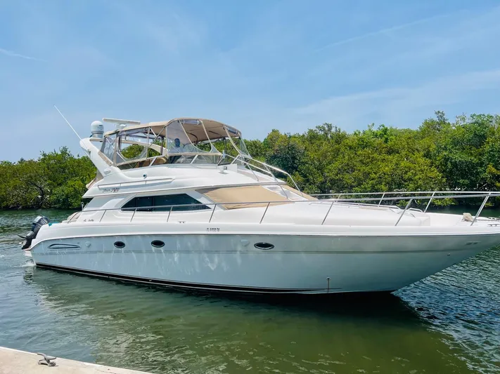 Pal'party Yacht Photos Pics 