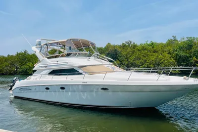 Sea Ray 450 Express Bridge