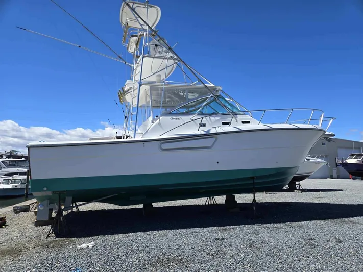 Side Chick Yacht Photos Pics 