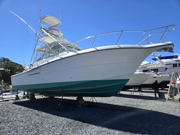 Side Chick Yacht Photos Pics 