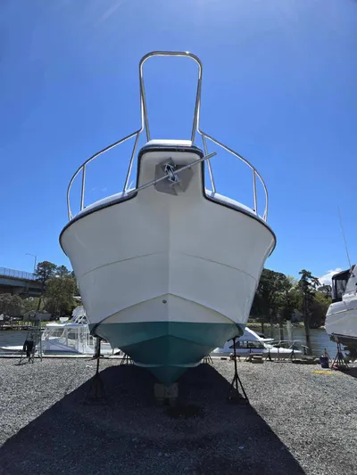 Side Chick Yacht Photos Pics 