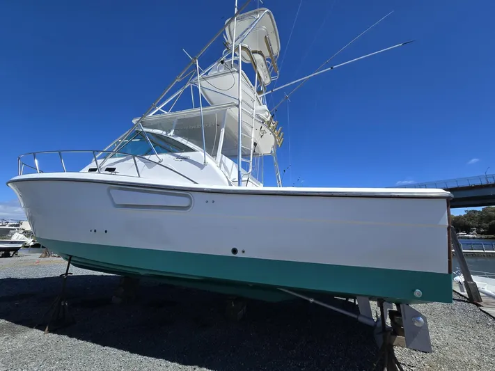 Side Chick Yacht Photos Pics 