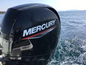 2024 Mercury F150 EFI ELPT