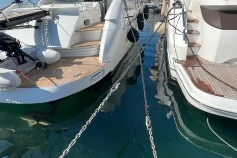  Yacht Photos Pics 2011 Pershing 50.1 yacht docked, showcasing sleek design and luxurious deck features.