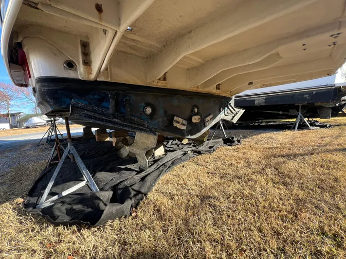 All Inn Yacht Photos Pics 