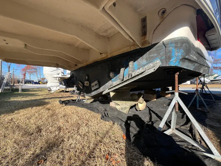 All Inn Yacht Photos Pics 