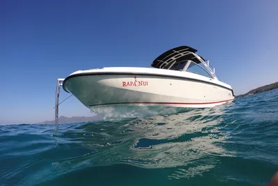 Boston Whaler 270 Vantage