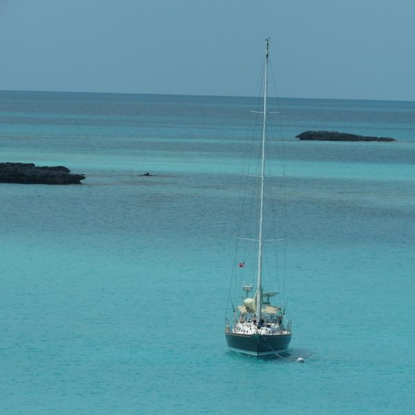 2011 Sabre 456
