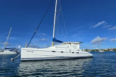 Leopard 43