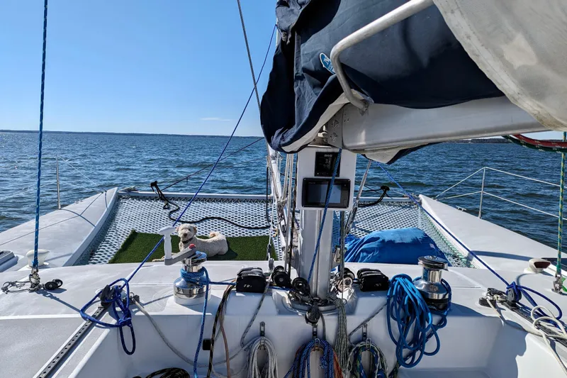 Watermark Yacht Photos Pics Sailing on a 2003 Chris White Atlantic 42 catamaran with a dog on deck.