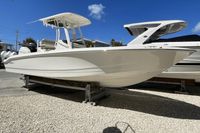 2024 Boston Whaler 250 Dauntless