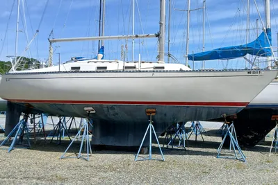 Tartan 33