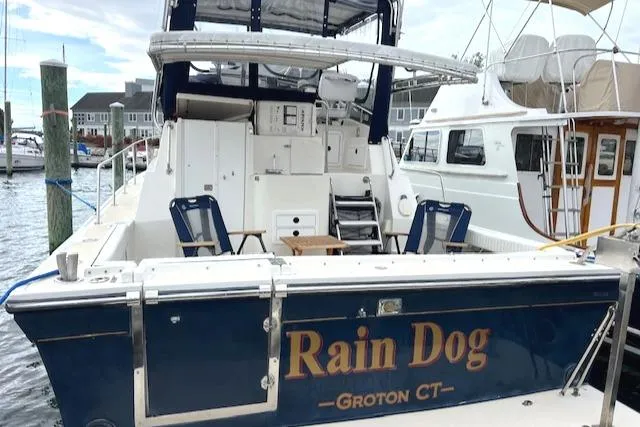 Rain Dog Yacht Photos Pics 
