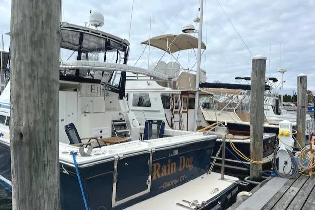 Rain Dog Yacht Photos Pics 