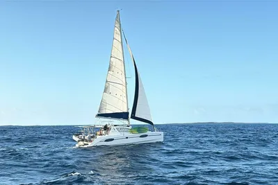 Leopard 39