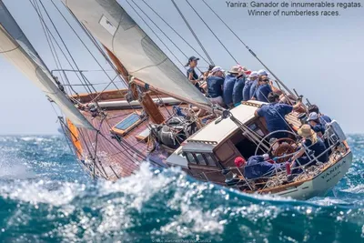 Classic Cruiser racer sloop
