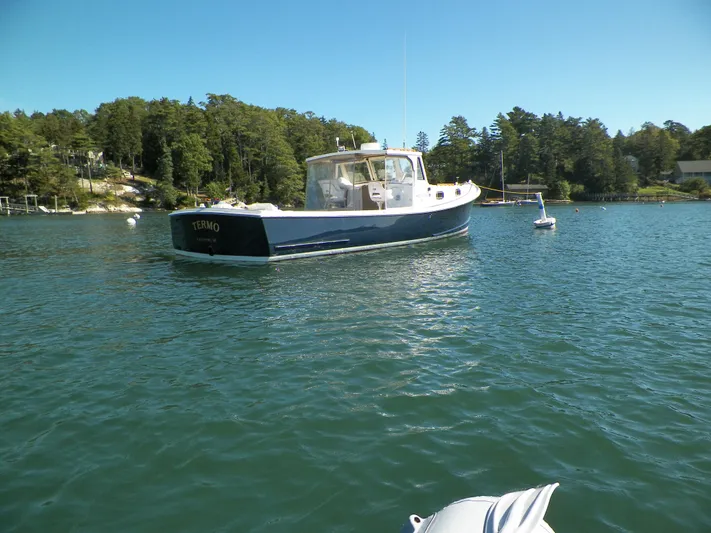 Termo Yacht Photos Pics Custom 2000 Holland Hardtop Cruiser on serene lake with forested shoreline.