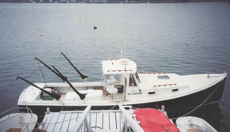 Termo Yacht Photos Pics Custom 2000 Holland Hardtop Cruiser docked on calm water.