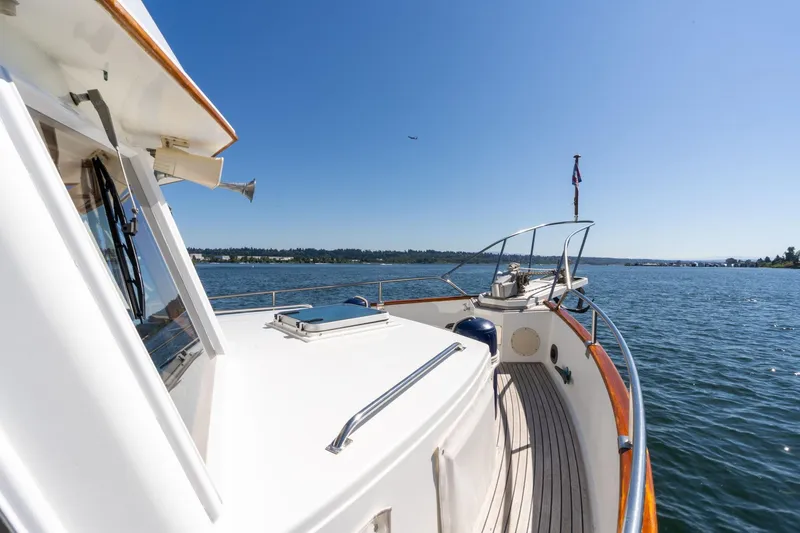 Celebration Yacht Photos Pics 