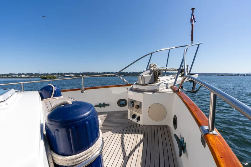 Celebration Yacht Photos Pics 