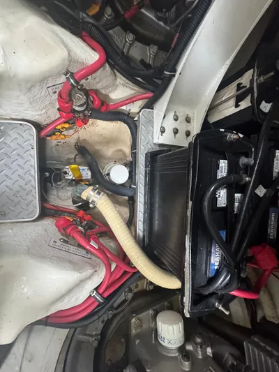 Anything For Me Too Yacht Photos Pics 