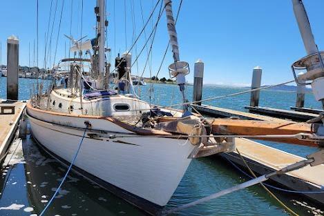 Ta Shing TA SHIBA 40