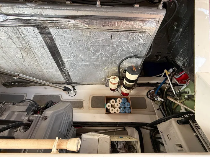 Lady Di Yacht Photos Pics 