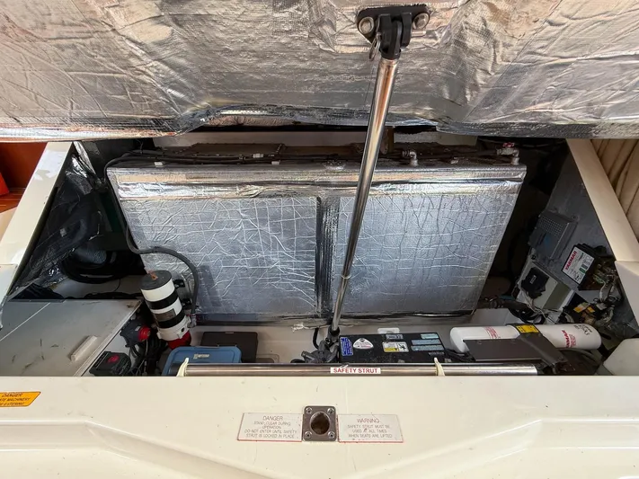 Lady Di Yacht Photos Pics 