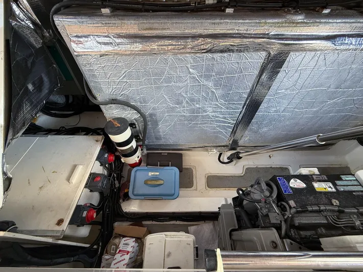 Lady Di Yacht Photos Pics 