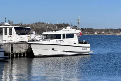 Sargo 33
