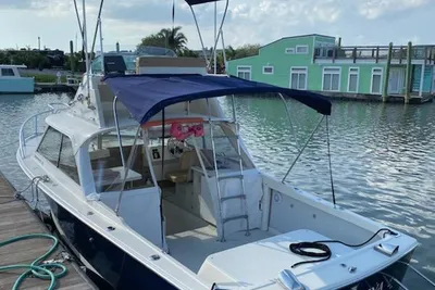 Bertram 25