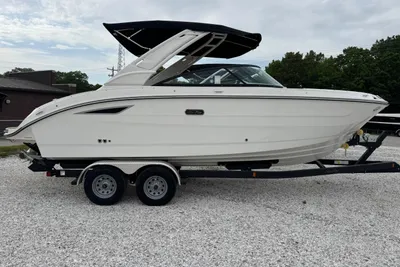 Sea Ray SDX 250