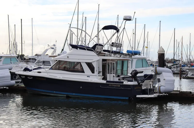 Resilient Yacht Photos Pics 