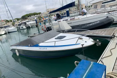 1991 Sea Ray 200